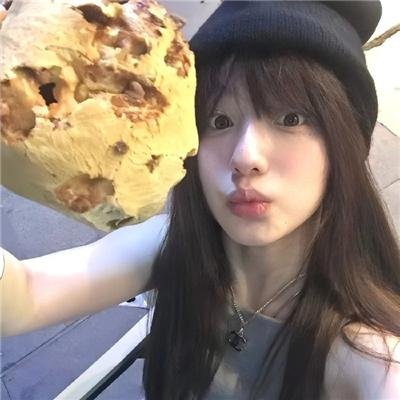阿尔忒弥斯计划